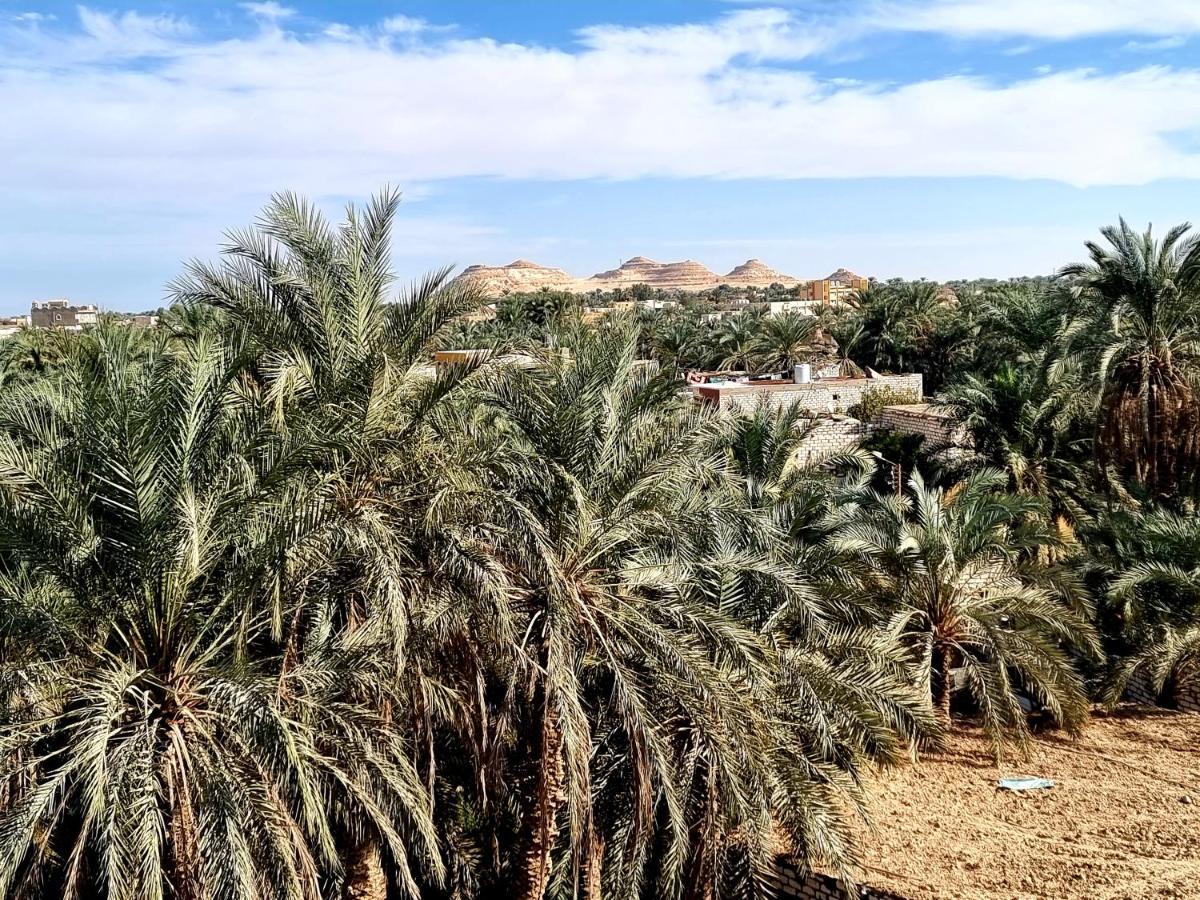 Quiet Home Siwa Oasis Exterior photo